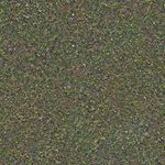 dirt grass