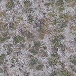gravel grass