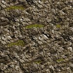 rock grass