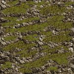 rock grass