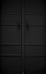 metallic door