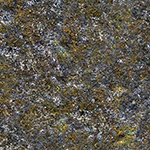 wall moss