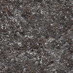 wall moss