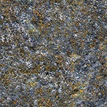 wall moss