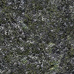 wall moss